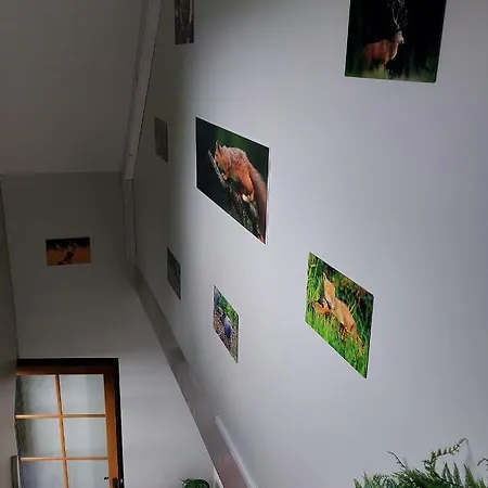 O Baguenaudes Apartment Jalhay Exterior photo
